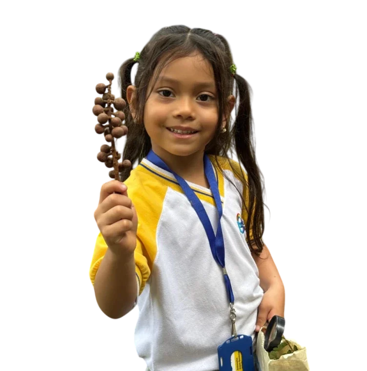 Niña del colegio mi liceo taller feliz sosteniendo una rama.